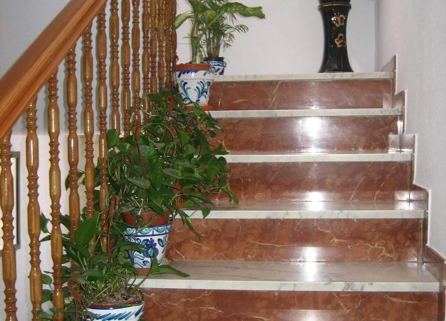 Pension Mari Carmen Salobrena Guest house